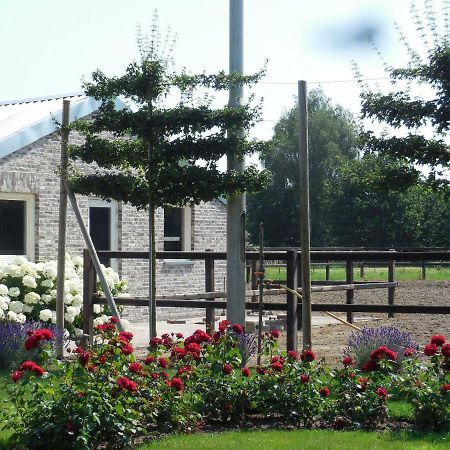 B & B " De 7 Sprong " Sevenum Exterior foto