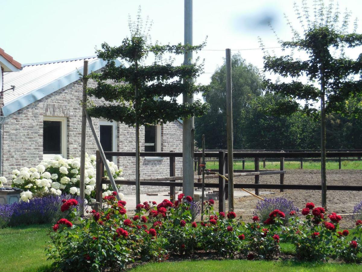 B & B " De 7 Sprong " Sevenum Exterior foto